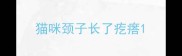 猫咪颈子长了疙瘩
