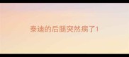 泰迪的后腿突然瘸了