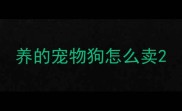 养的宠物狗怎么卖