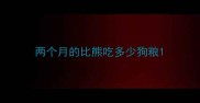 两个月的比熊吃多少狗粮
