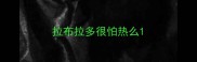 拉布拉多很怕热么