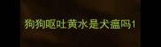 狗狗呕吐黄水是犬瘟吗