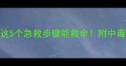 猫咪误食巧克力这5个急救步骤能救命附中毒症状清单和预防指南