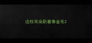 边牧耳朵趴着像金毛