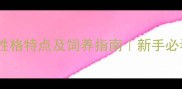 10种常见猫咪性格特点及饲养指南新手必看养猫避坑手册