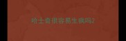 哈士奇很容易生病吗