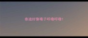 泰迪好像嗓子呼噜呼噜