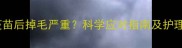 泰迪疫苗后掉毛严重科学应对指南及护理建议
