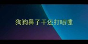 狗狗鼻子干还打喷嚏