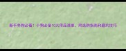 新手养狗必看小狗必备10大用品清单附选购指南和避坑技巧