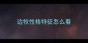 边牧性格特征怎么看