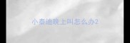 小泰迪晚上叫怎么办