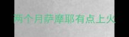 两个月萨摩耶有点上火