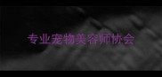 专业宠物美容师协会