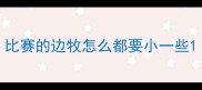 比赛的边牧怎么都要小一些