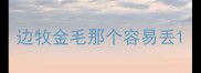 边牧金毛那个容易丢