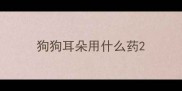 狗狗耳朵用什么药