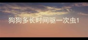 狗狗多长时间驱一次虫