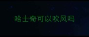 哈士奇可以吹风吗