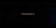 不拉布拉多吃什么