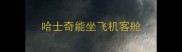 哈士奇能坐飞机客舱