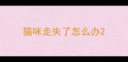 猫咪走失了怎么办