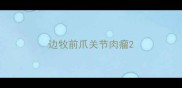 边牧前爪关节肉瘤