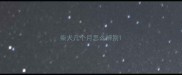 柴犬几个月怎么辨别