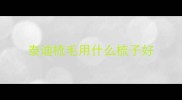 泰迪梳毛用什么梳子好