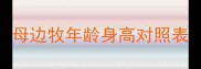 母边牧年龄身高对照表