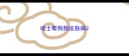 哈士奇狗狗皮肤病