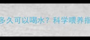 狗狗吃完狗粮后多久可以喝水科学喂养指南与饮水禁忌全