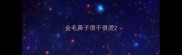 金毛鼻子很干很烫