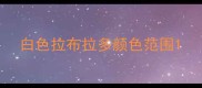 白色拉布拉多颜色范围