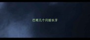 巴哥几个月能长牙