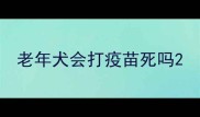 老年犬会打疫苗死吗