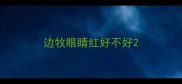 边牧眼睛红好不好