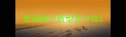 泰迪做个造型多少钱