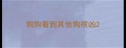 狗狗看到其他狗很凶
