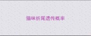 猫咪折尾遗传概率