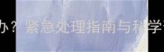 狗狗吃了益生菌吐了怎么办紧急处理指南与科学预防方案附兽医建议