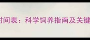 马犬成年时间表科学饲养指南及关键成长阶段