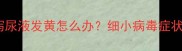 金毛幼犬细小呕吐腹泻尿液发黄怎么办细小病毒症状识别与紧急护理指南