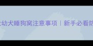 两个月大幼犬睡狗窝注意事项新手必看防坑指南