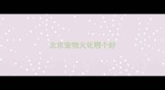 北京宠物火化哪个好