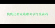 狗狗还有点咳嗽可以打疫苗吗