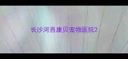 长沙河西康贝宠物医院