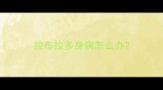 拉布拉多身病怎么办