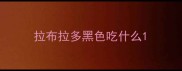 拉布拉多黑色吃什么