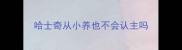 哈士奇从小养也不会认主吗